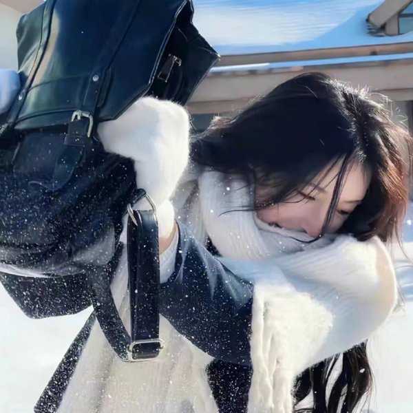青云志
